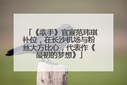 《歌手》官宣范玮琪补位，在长沙机场与粉丝大方比心，代表作《最初的梦想》