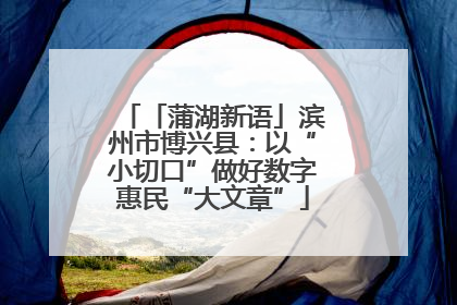 「蒲湖新语」滨州市博兴县：以“小切口”做好数字惠民“大文章”