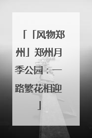 「风物郑州」郑州月季公园：一路繁花相迎