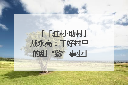 「驻村·助村」戴永亮：干好村里的甜“猕”事业