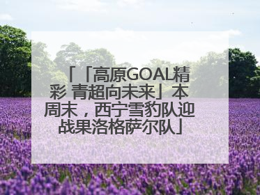 「高原GOAL精彩 青超向未来」本周末，西宁雪豹队迎战果洛格萨尔队
