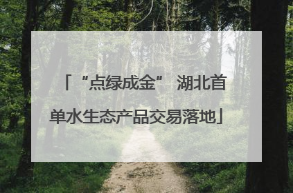 “点绿成金” 湖北首单水生态产品交易落地