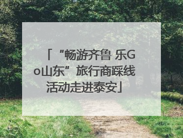 “畅游齐鲁 乐Go山东”旅行商踩线活动走进泰安