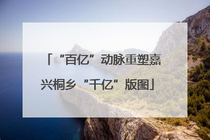“百亿”动脉重塑嘉兴桐乡“千亿”版图