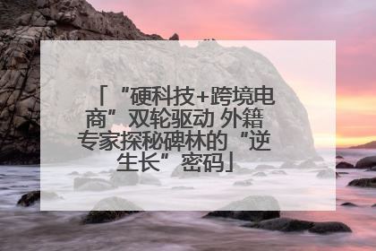 “硬科技+跨境电商”双轮驱动 外籍专家探秘碑林的“逆生长”密码