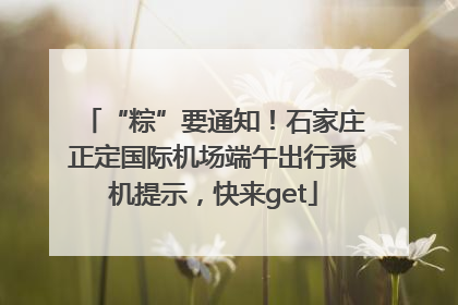 “粽”要通知！石家庄正定国际机场端午出行乘机提示，快来get