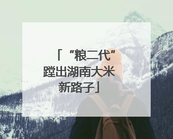“粮二代”蹚出湖南大米新路子