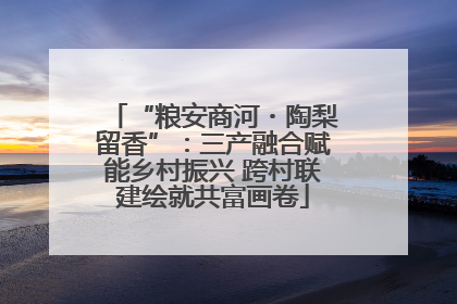 “粮安商河・陶梨留香”：三产融合赋能乡村振兴 跨村联建绘就共富画卷