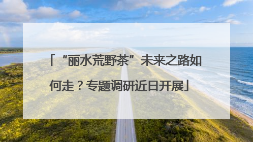 “丽水荒野茶”未来之路如何走？专题调研近日开展