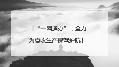 “一网通办”，全力为夏收生产保驾护航