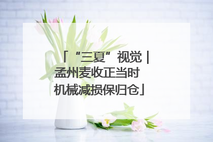 “三夏”视觉｜孟州麦收正当时 机械减损保归仓