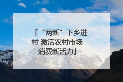 “两新”下乡进村 激活农村市场消费新活力