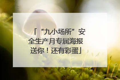 “九小场所”安全生产月专属海报送你！还有彩蛋