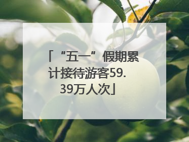 “五一”假期累计接待游客59.39万人次