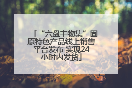 “六盘丰物集”固原特色产品线上销售平台发布 实现24小时内发货