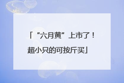 “六月黄”上市了！超小只的可按斤买