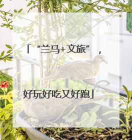 “兰马+文旅”，好玩好吃又好跑