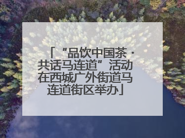 “品饮中国茶・共话马连道”活动在西城广外街道马连道街区举办