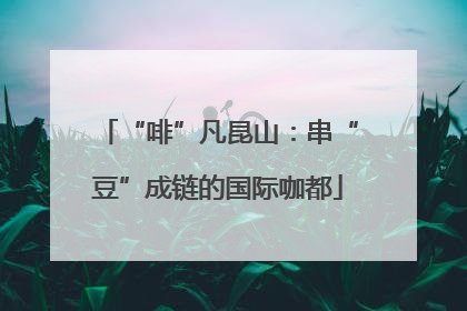 “啡”凡昆山：串“豆”成链的国际咖都