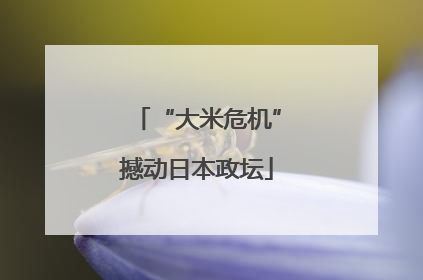 “大米危机”撼动日本政坛