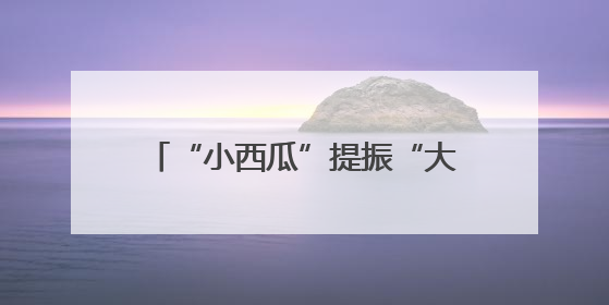 “小西瓜”提振“大消费” 以节庆IP助力大兴区高质量发展