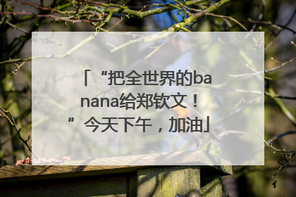 “把全世界的banana给郑钦文！”今天下午，加油