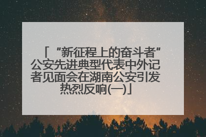 “新征程上的奋斗者”公安先进典型代表中外记者见面会在湖南公安引发热烈反响(一)