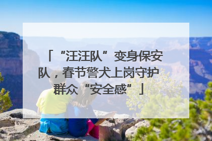 “汪汪队”变身保安队，春节警犬上岗守护群众“安全感”