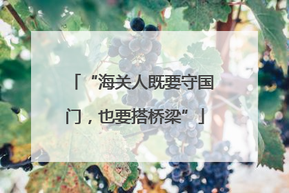 “海关人既要守国门，也要搭桥梁”