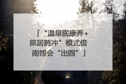“温泉医康养+旅居腾冲”模式借南博会“出圈”