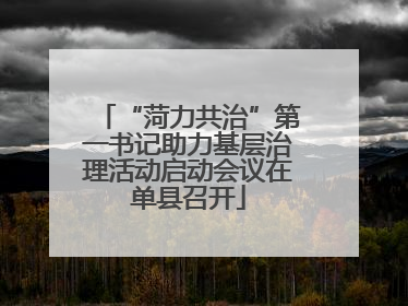 “菏力共治”第一书记助力基层治理活动启动会议在单县召开