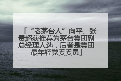“老茅台人”向平、张贵超获推荐为茅台集团副总经理人选，后者是集团最年轻党委委员