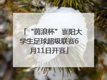 “茵浪杯”襄阳大学生足球超级联赛6月11日开赛