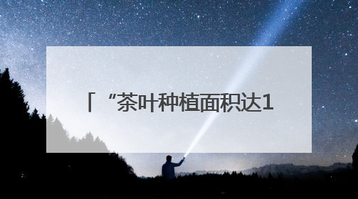 “茶叶种植面积达12.5万亩，全产业链产值达57亿元” 浙江武义茶产业全链发展“加速度”