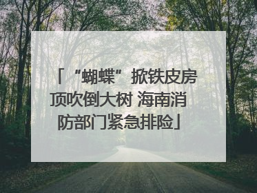 “蝴蝶”掀铁皮房顶吹倒大树 海南消防部门紧急排险