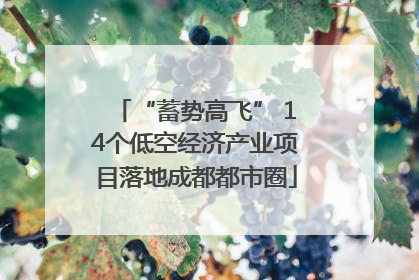 “蓄势高飞” 14个低空经济产业项目落地成都都市圈