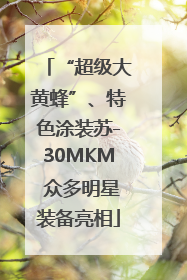 “超级大黄蜂”、特色涂装苏-30MKM 众多明星装备亮相