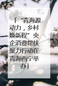“青海源动力，乡村焕新程”央企消费帮扶聚力行动在青海西宁举办