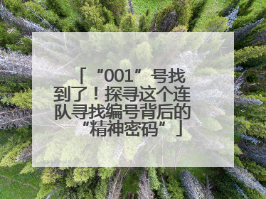 “001”号找到了！探寻这个连队寻找编号背后的“精神密码”