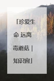 珍爱生命 远离毒蘑菇｜知识窗