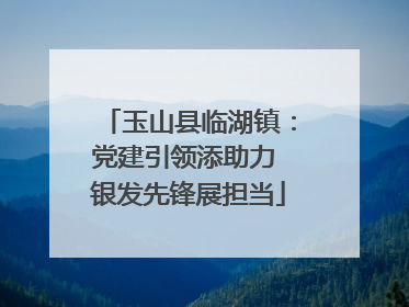 玉山县临湖镇：党建引领添助力 银发先锋展担当