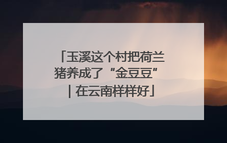 玉溪这个村把荷兰猪养成了“金豆豆”｜在云南样样好