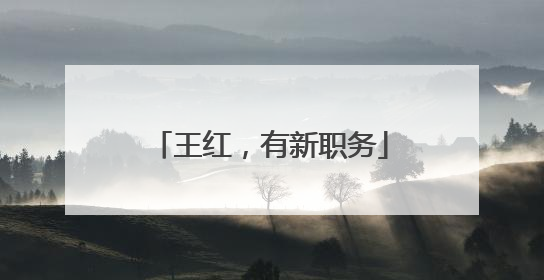 王红，有新职务