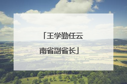 王学勤任云南省副省长