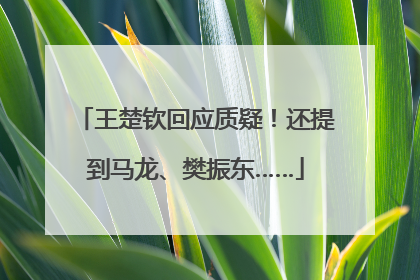 王楚钦回应质疑！还提到马龙、樊振东……