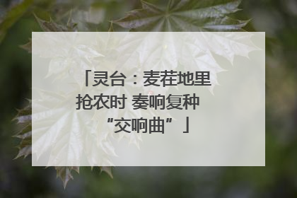 灵台：麦茬地里抢农时 奏响复种“交响曲”