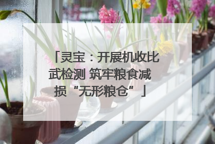 灵宝：开展机收比武检测 筑牢粮食减损“无形粮仓”