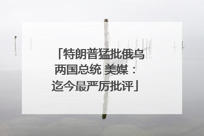 特朗普猛批俄乌两国总统 美媒：迄今最严厉批评