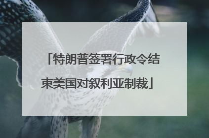 特朗普签署行政令结束美国对叙利亚制裁