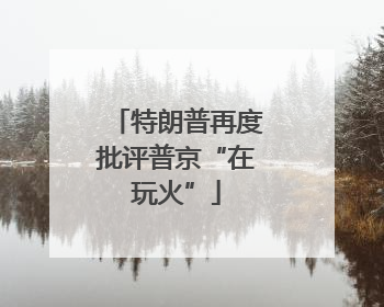 特朗普再度批评普京“在玩火”